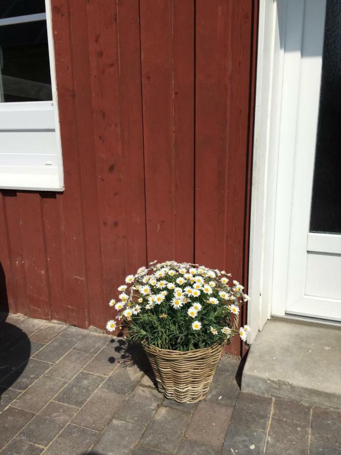 Ferienhaus - Schwedenhaus 2 * Fehmarn